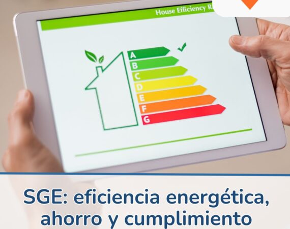 Blog - SGE 1